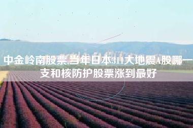 中金岭南股票,当年日本311大地震A股哪一支和核防护股票涨到最好