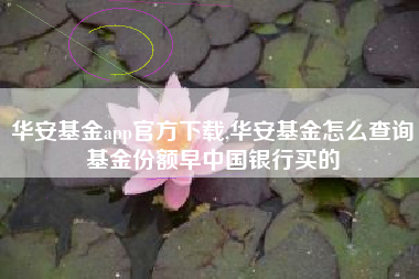 华安基金app官方下载,华安基金怎么查询基金份额早中国银行买的