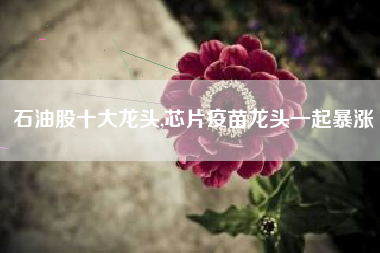石油股十大龙头,芯片疫苗龙头一起暴涨