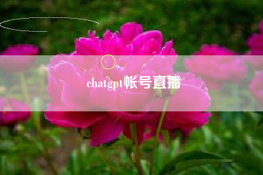 chatgpt帐号直播