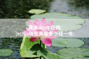 黄金2022年行情(
2022916现在黄金多少钱一克) 黄金2022年行情(
2022916现在黄金多少钱一克)