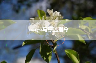 chatgpt写综述指令