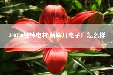 300120经纬电材,新辉开电子厂怎么样