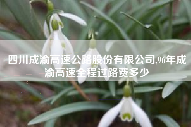 四川成渝高速公路股份有限公司,96年成渝高速全程过路费多少