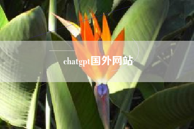chatgpt国外网站