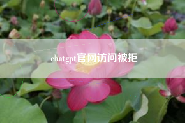 chatgpt官网访问被拒