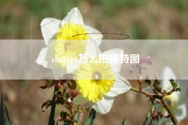 chatgpt怎么拍模特图
