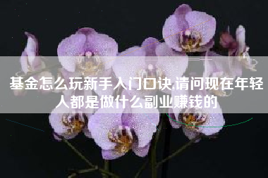 基金怎么玩新手入门口诀,请问现在年轻人都是做什么副业赚钱的