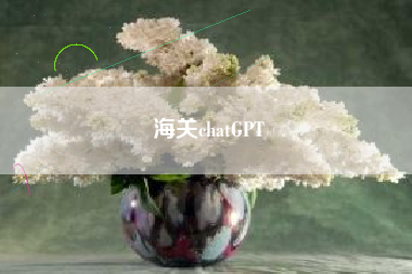 海关chatGPT