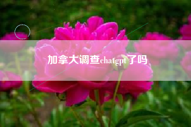 加拿大调查chatgpt了吗