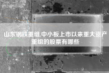 山东钢铁重组,中小板上市以来重大资产重组的股票有哪些