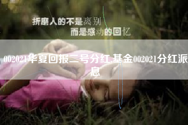 002021华夏回报二号分红,基金002021分红派息