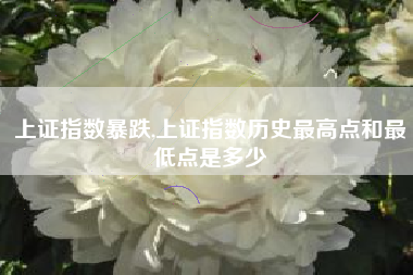 上证指数暴跌,上证指数历史最高点和最低点是多少