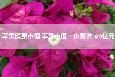 苹果股票市值,苹果市值一夜蒸发3600亿元