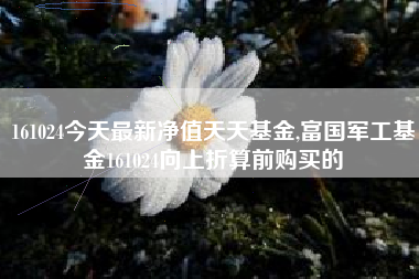 161024今天最新净值天天基金,富国军工基金161024向上折算前购买的