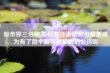 股市停三分钟,如何看待银亿股份股票成为有了首个被强制复牌的公司呢