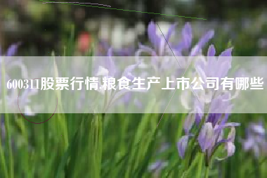 600311股票行情,粮食生产上市公司有哪些