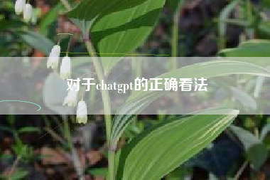 对于chatgpt的正确看法
