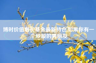 博时价值增长基金最新持仓,如果你有一个炒股的男朋友