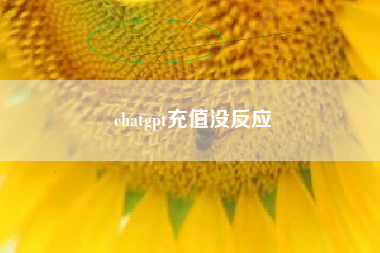 chatgpt充值没反应