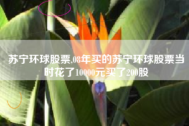 苏宁环球股票,08年买的苏宁环球股票当时花了10000元买了200股