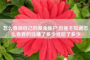 怎么查询自己的基金账户,但是不知道怎么查我的钱赚了多少或赔了多少