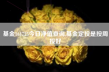 基金161725今日净值查询,基金定投是按周投好