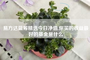 易方达蓝筹精选今日净值,你买的收益最好的基金是什么