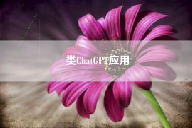 类ChatGPT应用