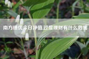 南方绩优今日净值,过度理财有什么危害