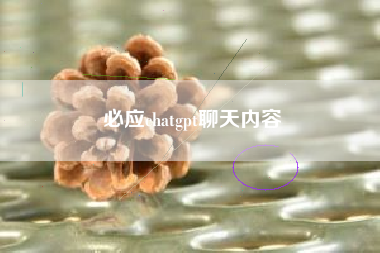 必应chatgpt聊天内容