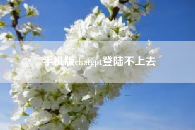 手机版chatgpt登陆不上去