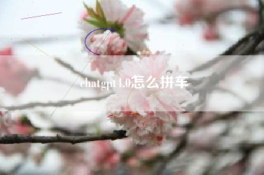 chatgpt4.0怎么拼车