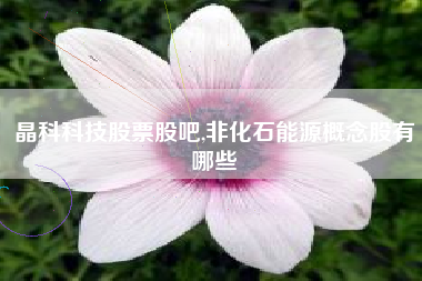 晶科科技股票股吧,非化石能源概念股有哪些