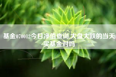 基金070012今日净值查询,大盘大跌的当天买基金对吗