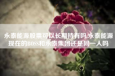 永泰能源股票可以长期持有吗,永泰能源现在的BOSS和永泰集团还是同一人吗