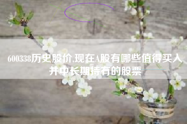 600338历史股价,现在A股有哪些值得买入并中长期持有的股票