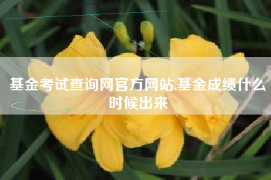 基金考试查询网官方网站,基金成绩什么时候出来
