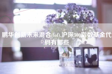 鹏华创新未来混合(lof),沪深300指数基金代码有哪些