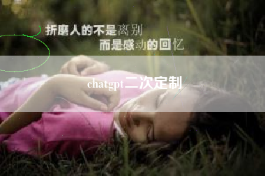chatgpt二次定制