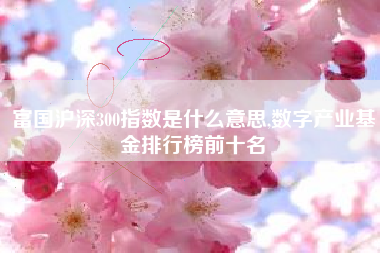 富国沪深300指数是什么意思,数字产业基金排行榜前十名