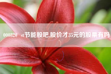 000820  st节能股吧,股价才35元的股票有吗