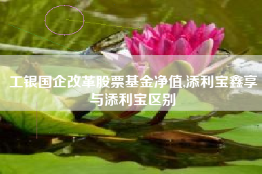 工银国企改革股票基金净值,添利宝鑫享与添利宝区别