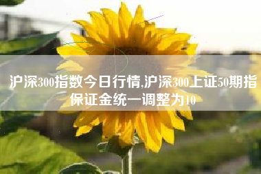 沪深300指数今日行情,沪深300上证50期指保证金统一调整为10