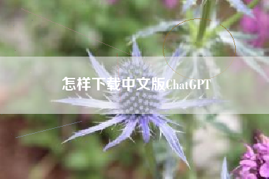 怎样下载中文版ChatGPT