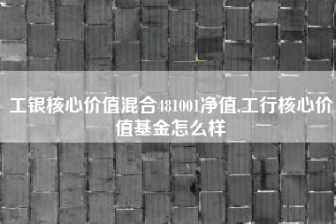 工银核心价值混合481001净值,工行核心价值基金怎么样