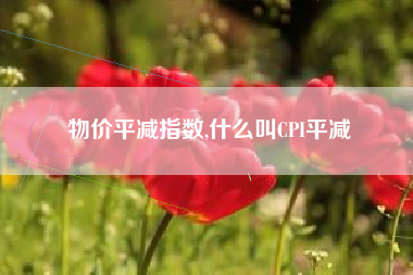 物价平减指数,什么叫CPI平减