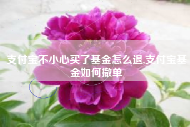 支付宝不小心买了基金怎么退,支付宝基金如何撤单