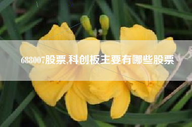 688007股票,科创板主要有哪些股票