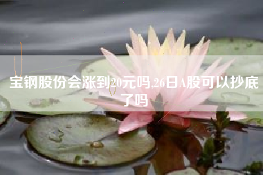 宝钢股份会涨到20元吗,26日A股可以抄底了吗